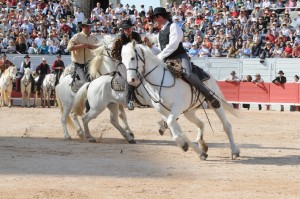 jeux des gardians arenes