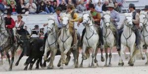 13-05-31-Fete_des_gardians_2010_01_05_2010_77_l[1]